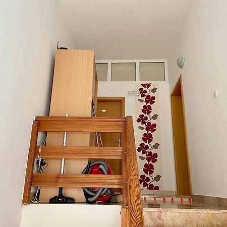 Apartments Tiho & Jelena Blace Dış mekan fotoğraf
